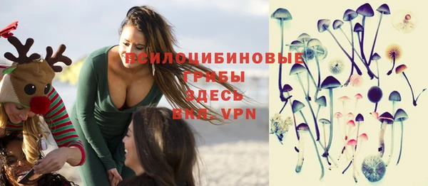 мет Осинники