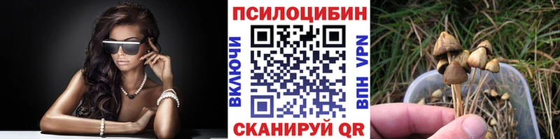 Псилоцибиновые грибы Psilocybe Козловка